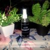 A bottle of The Dewy Petal hand-poured air freshener and linen spray, displayed on a floral surface between green botanical plants.
