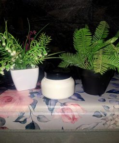 A white jar with a black lid containing The Dewy Petal's ultra-rich body butter, positioned on a floral rose-patterned surface between green botanical plants.