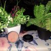 An open tin of soft pink restorative lip balm from The Dewy Petal, displayed on a floral rose-patterned surface with green botanical plants and a black lid.